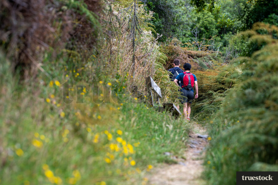 People on a hiking track at Wanaka