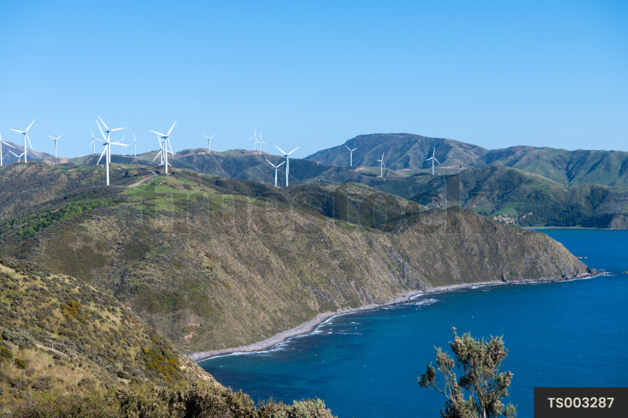 Makara West Wind Farm by sea in Wellington
