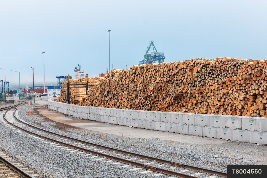Pile of Logs at Port