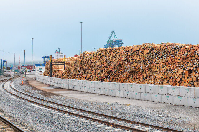 Pile of Logs at Port