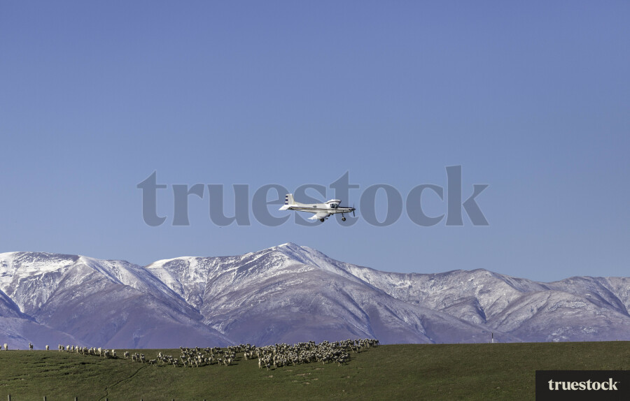 Small plane flying