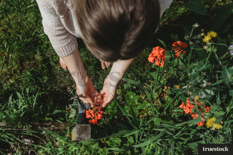 Picking flowers