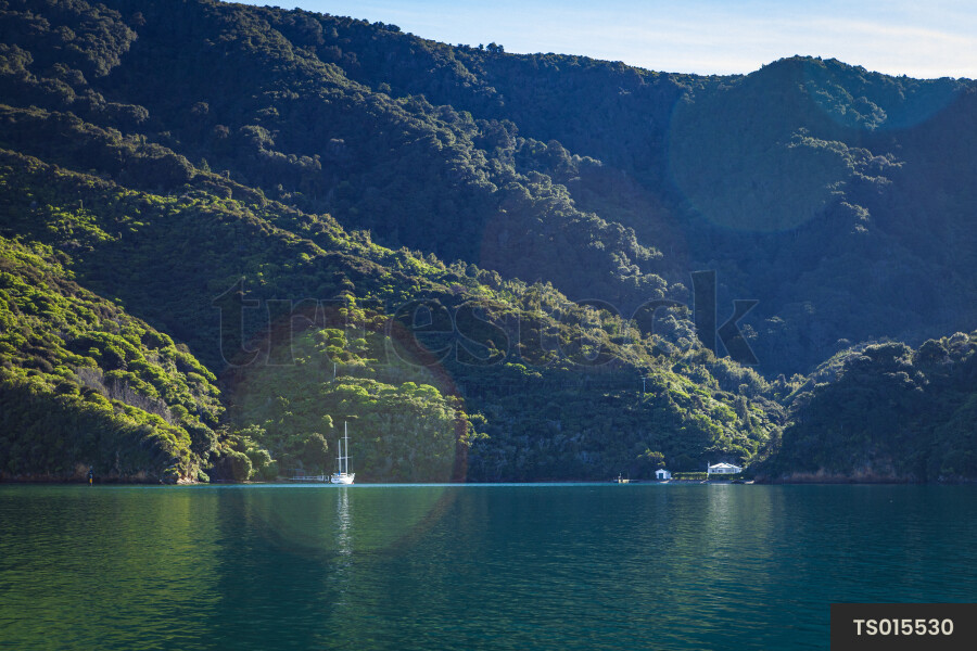 Mountain in Marlborough Sounds