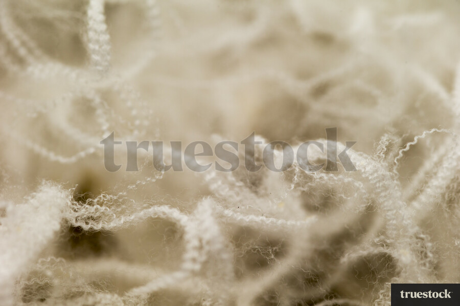 Wool Close-up