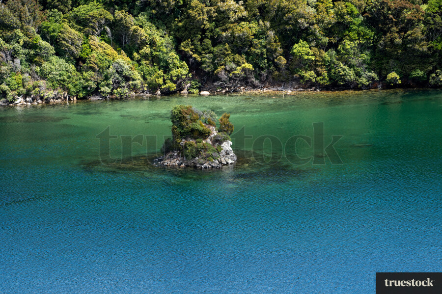 Stewart Island Beach