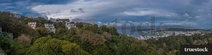 Wellington waterfront from the mountain top on a cloudy day