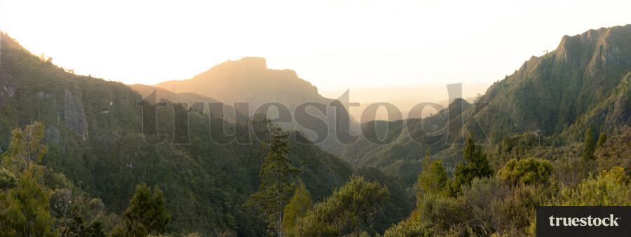 Coromandel Peninsula Pinnacles Walk