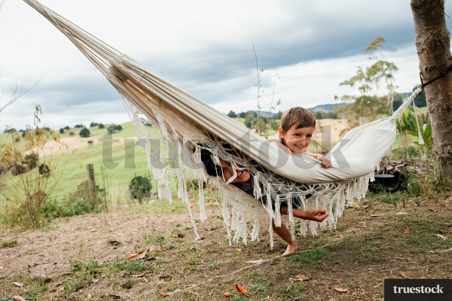 Brothers in a Hammock