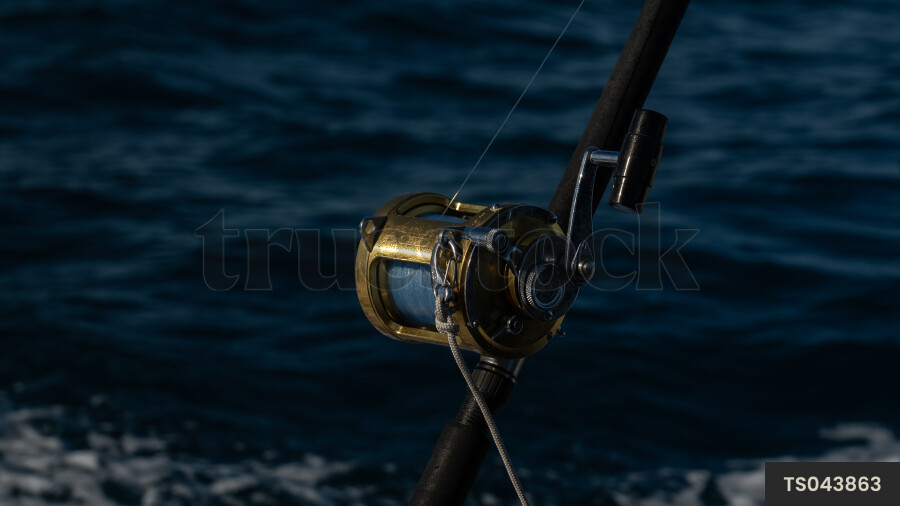 Fishing rod and sea