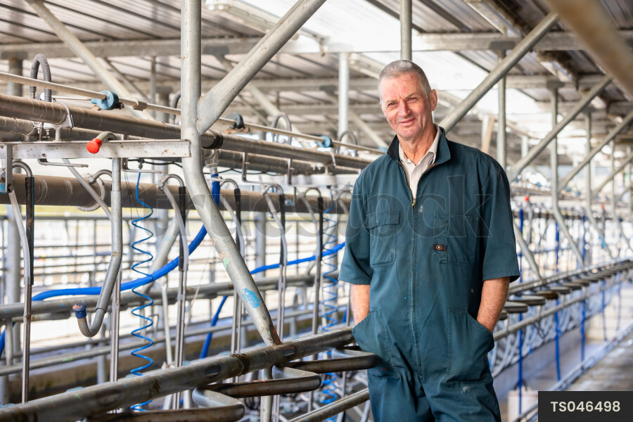 Dairy farmer in milking shed