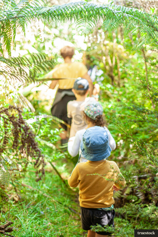 Children walking through the bush