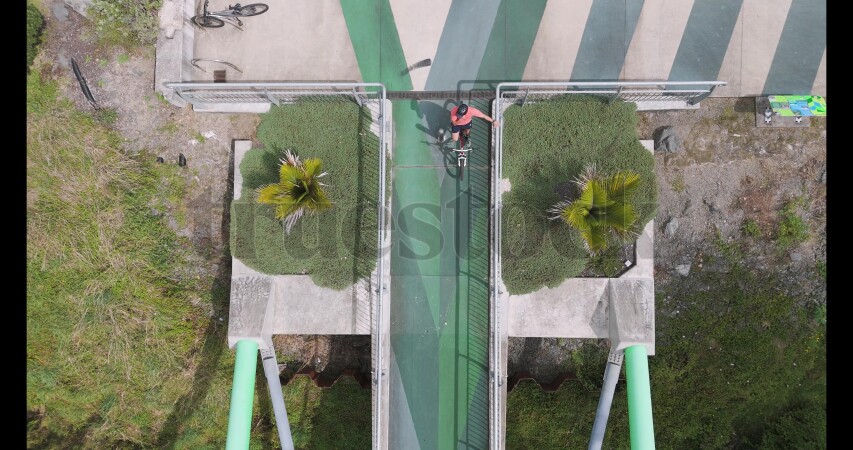 Man cycling on bridge over Waikato River