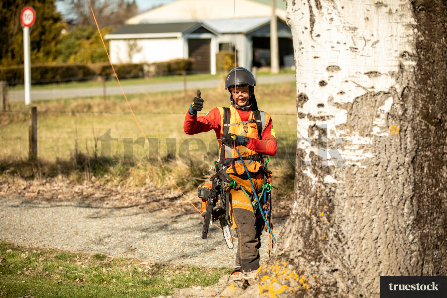 Worker Climbing Tree