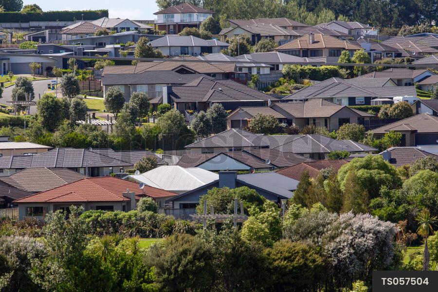 Tauranga Suburban Landscapes