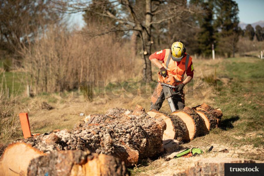 Worker Cutting Log