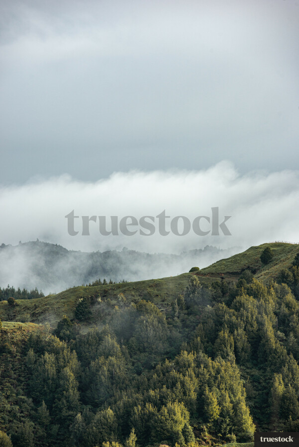 Farmland hills