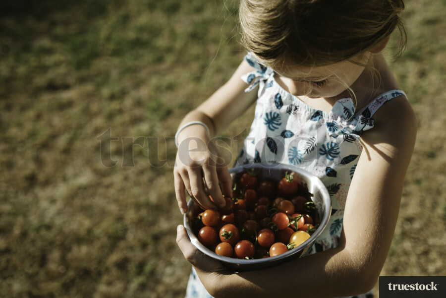 Girl Holding a Bowl of Cherry Tomatoes
