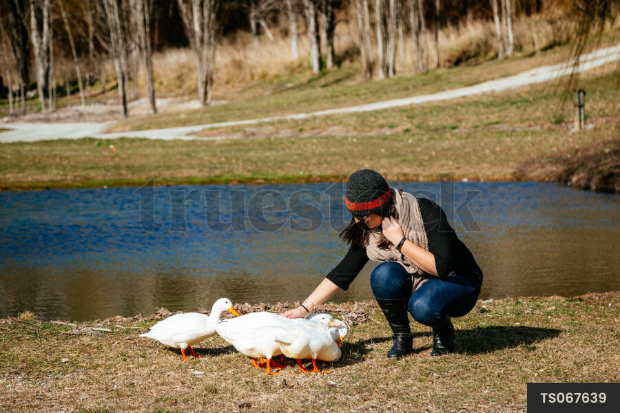 Woman petting goose by pond