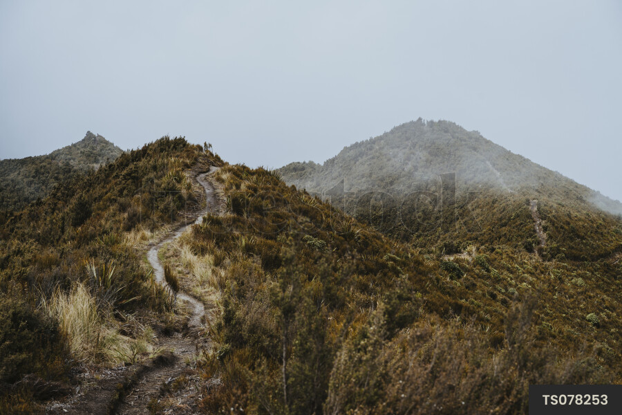 Silver Peaks Scenic Reserve