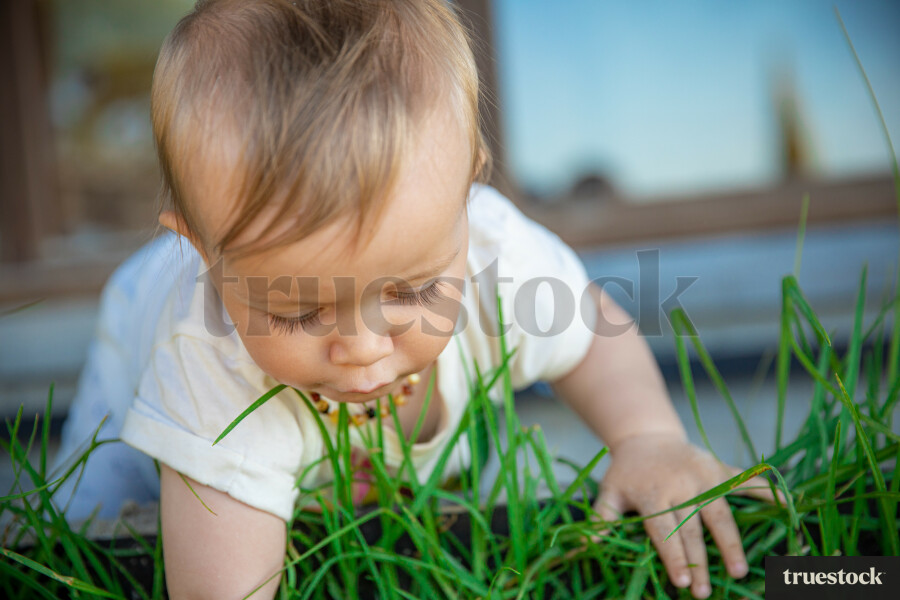 Toddler crawling on the grass in the backyard