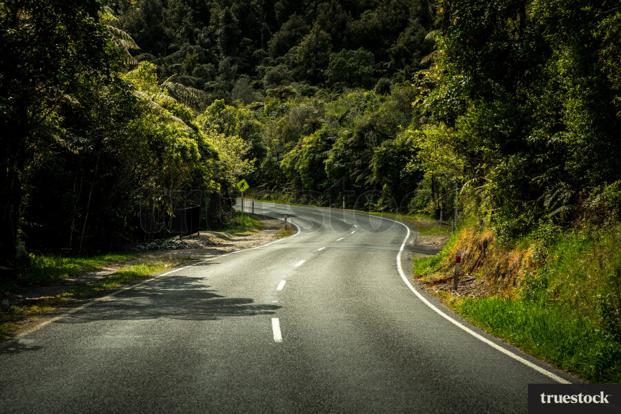 Winding road through bush
