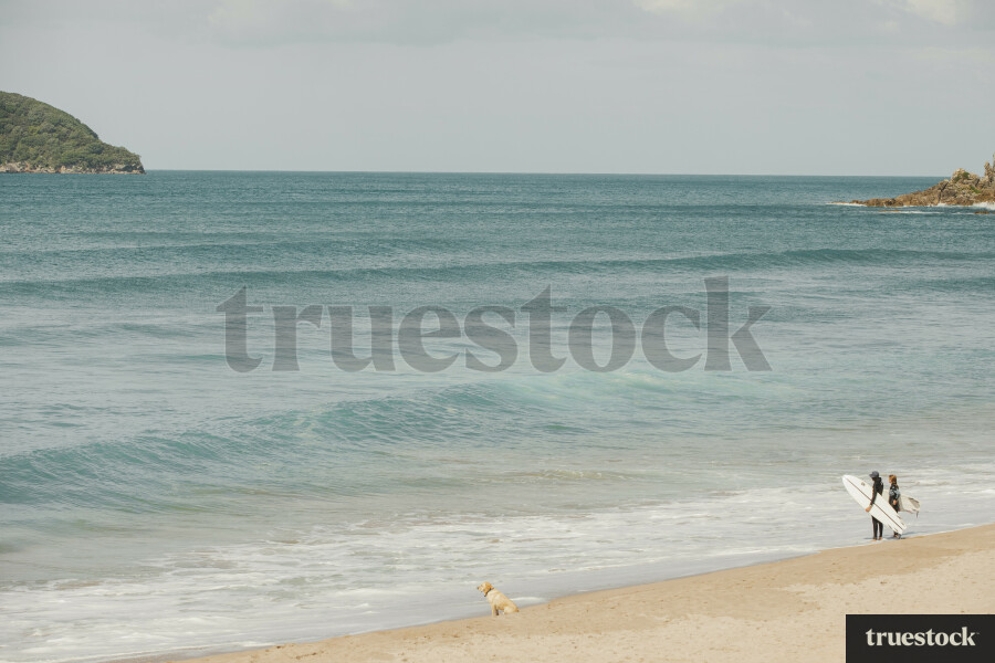 Surfing at the beach
