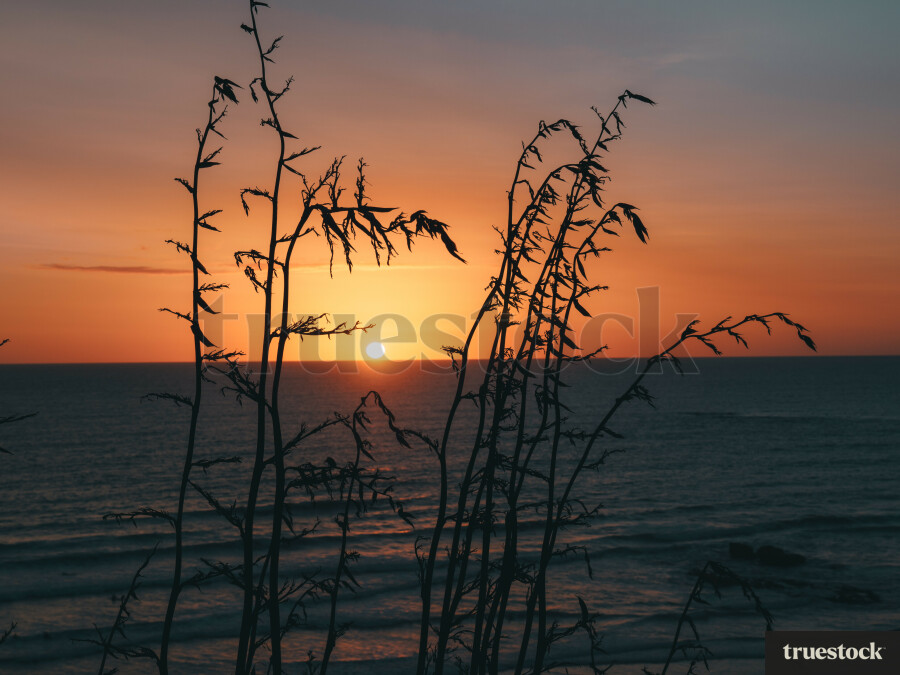 Auckland Beach Sunset
