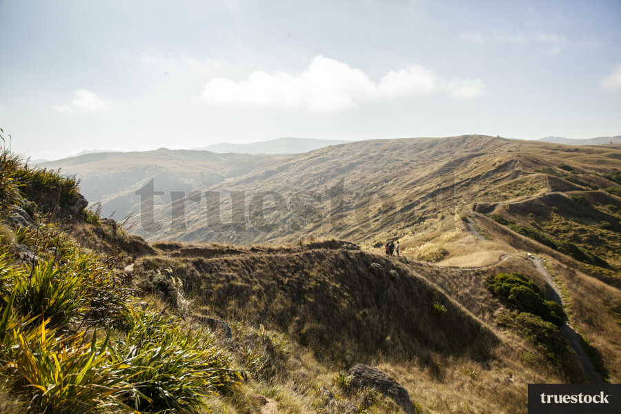 Ridgeline Hike, Castlepoint Wairarapa.