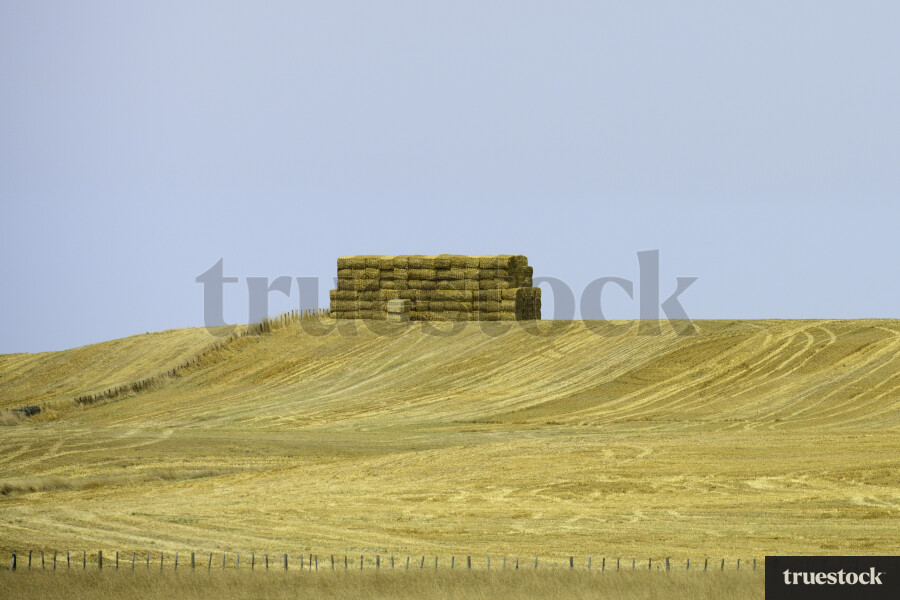 Hay Stack in a Field