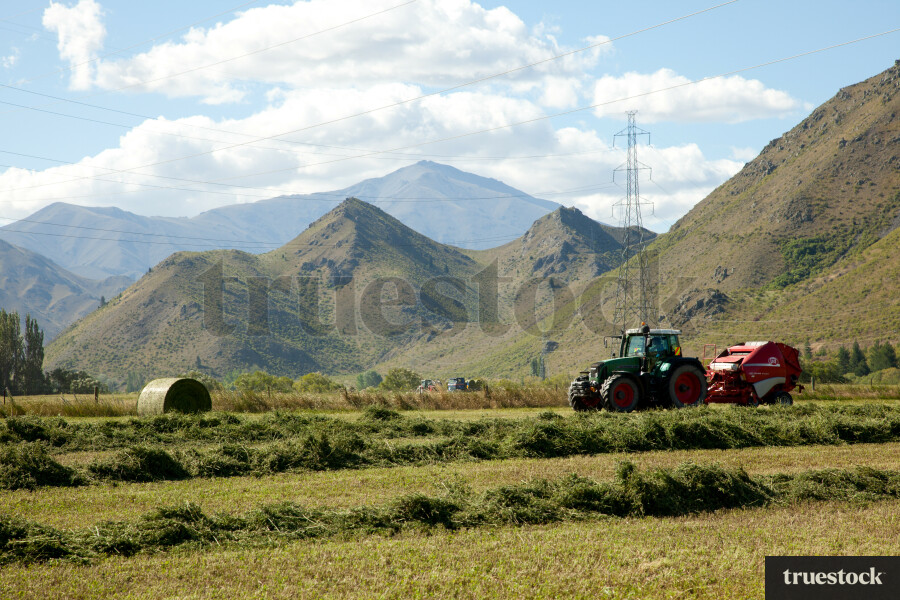 Hay making in the countryside