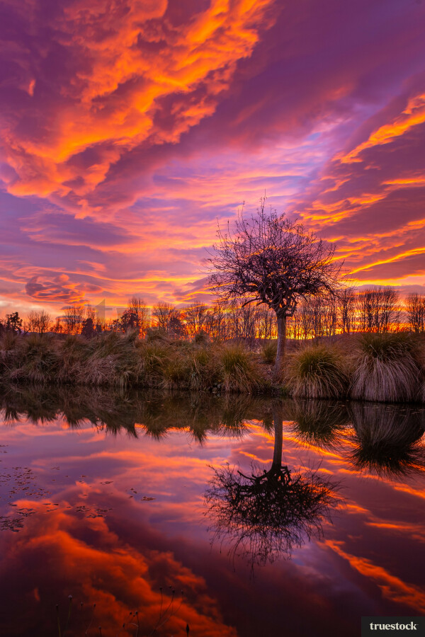 Vibrant pink sunset reflecting in the river's water