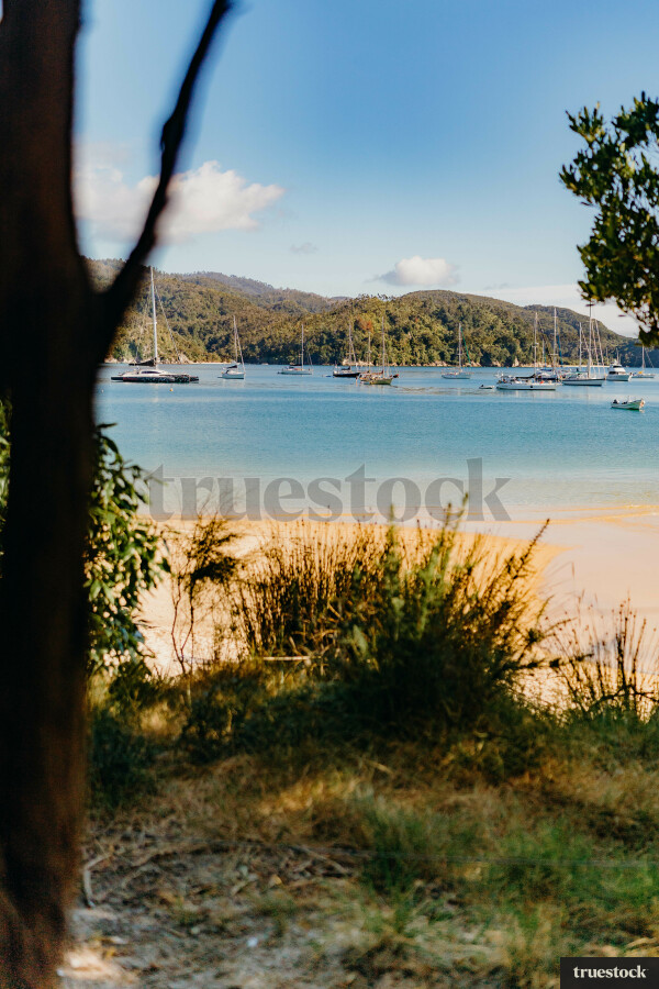 Boats moored in a bay