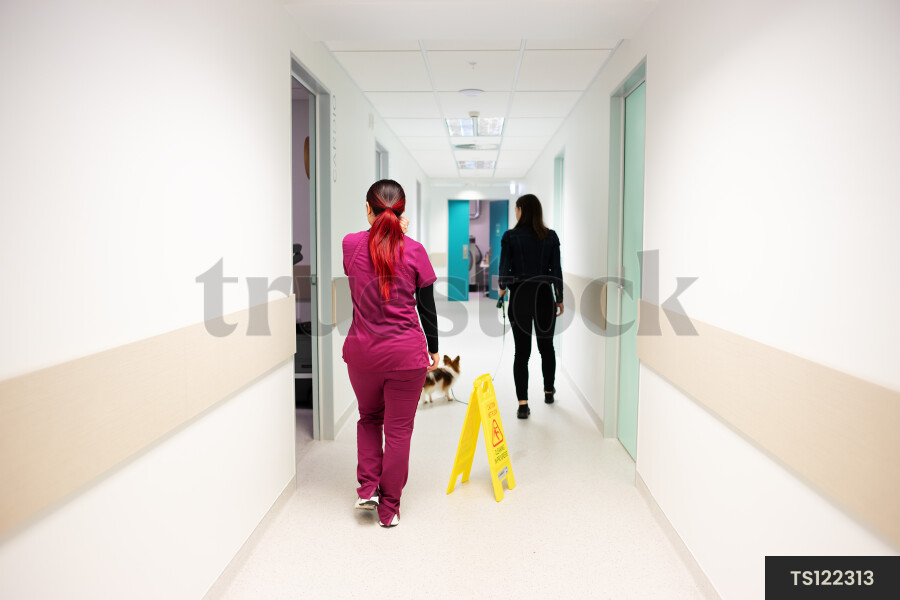 Vet and owner walking with dog in corridor of clinic