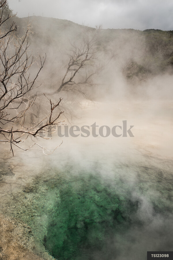 Tokaanu Thermal Pools