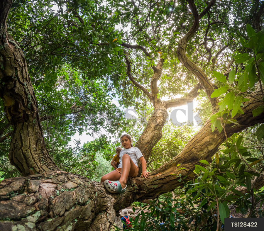 Kid Climbing Tree