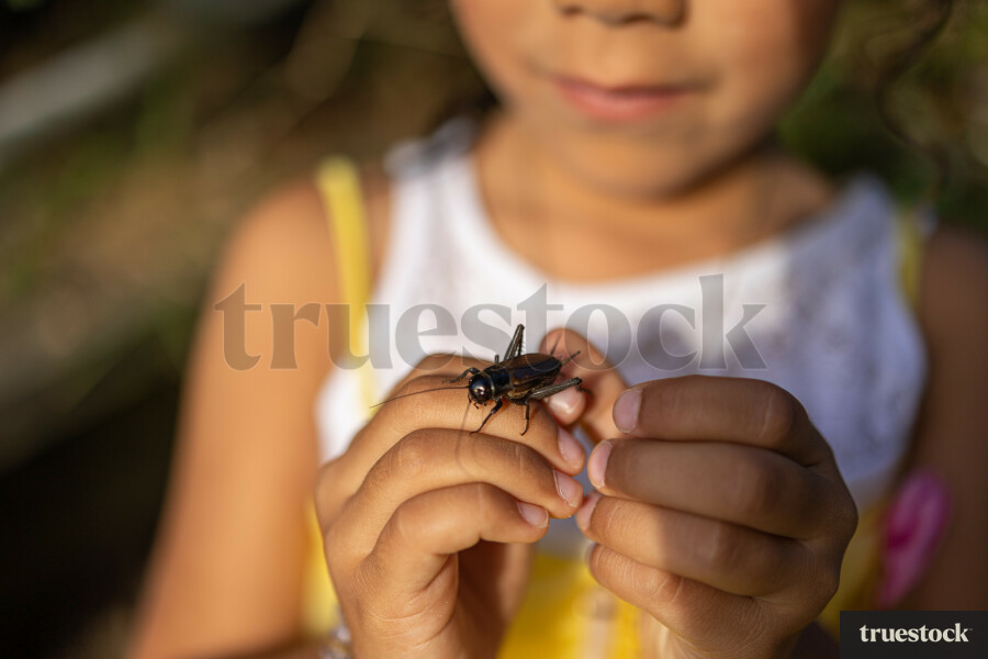Girl Holding a Bug