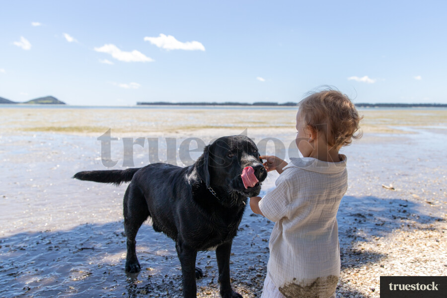 Young Boy and Dog on Beach