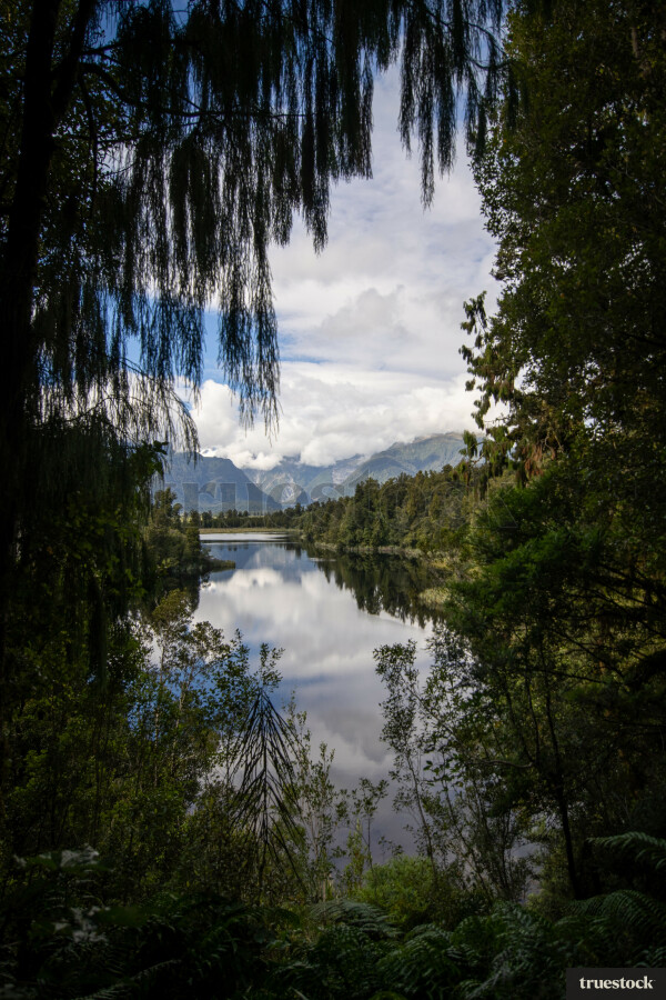 View of the lake from the forest