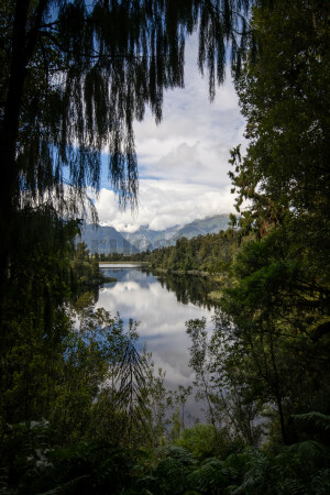 View of the lake from the forest