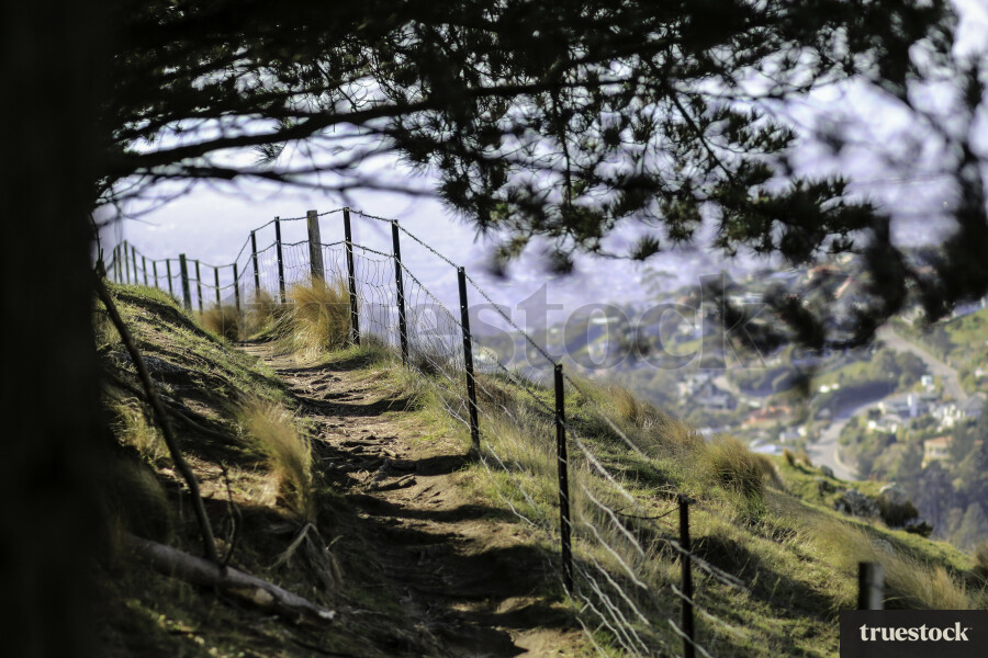 Walking Path, Christchurch Port HIlls