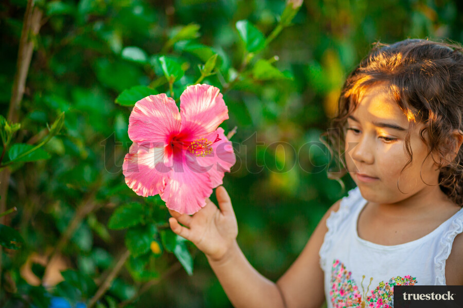 Child touching a hibiscus flower with sun rays hitting the body
