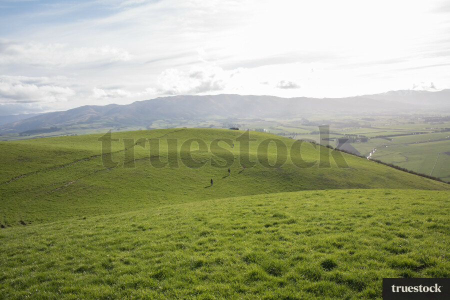 Open fields and rolling hills