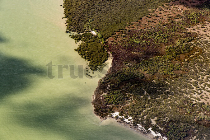 Aerial view of Kaipara Harbour