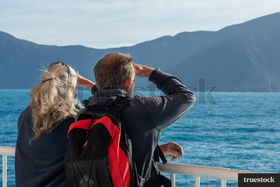 Cook Straight Landscape and Ocean