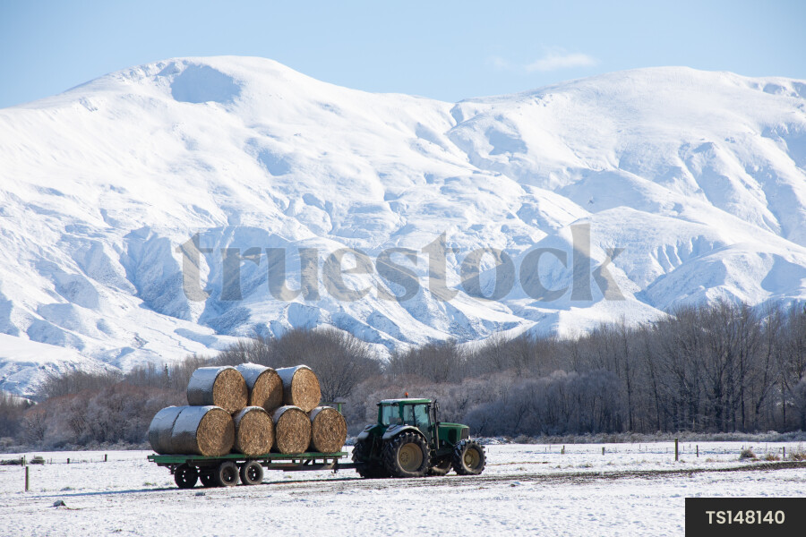 Tractor with hay bales on farm in winter