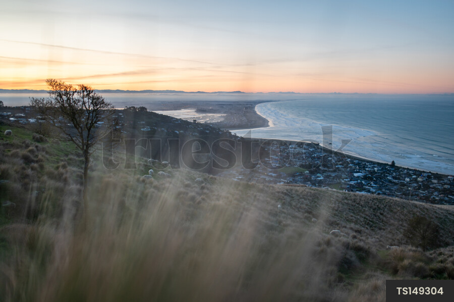 Coastline at Godley Head, Canterbury