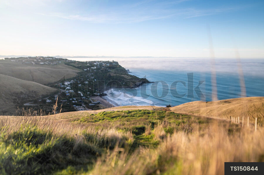 Coastline at Godley Head, Canterbury