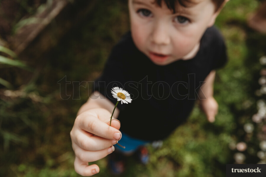 Boy picking flowers