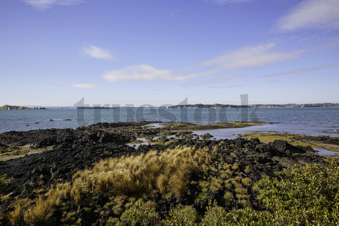 Rangitoto Island