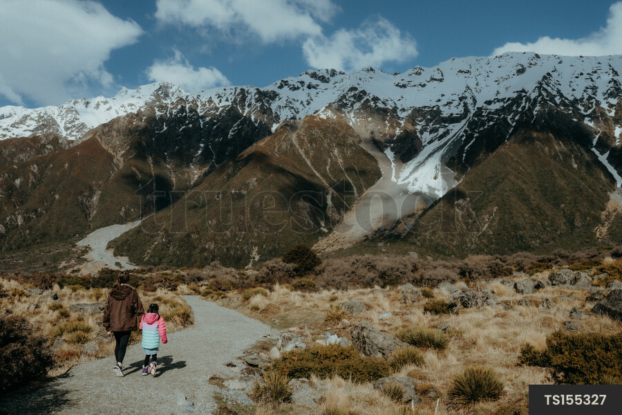 Queenstown Landscape